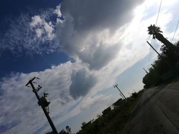 Low angle view of tree against sky