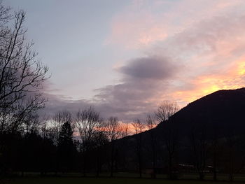Silhouette trees on landscape against sky at sunset