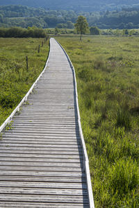 the way forward