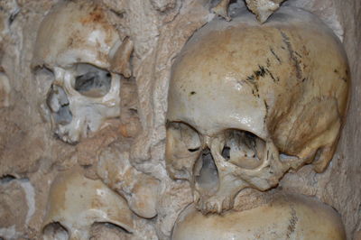 Close-up of skull on wall