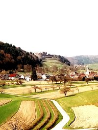 Scenic view of agricultural field against clear sky