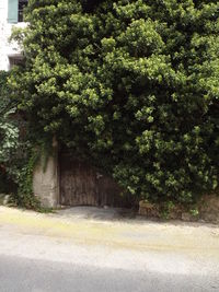 Built structure with trees in background