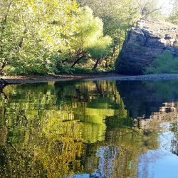 Scenic view of lake in forest