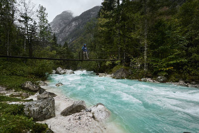 Scenic view of river stream in forest in slovenia