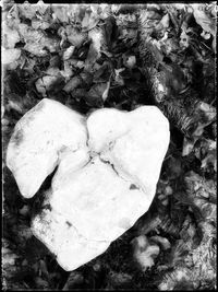 High angle view of heart shape on rock