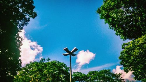 Low angle view of trees against blue sky