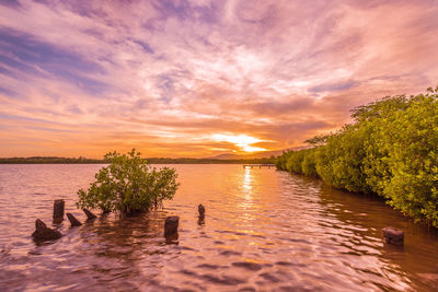 Scenic view of lake against sky during sunset