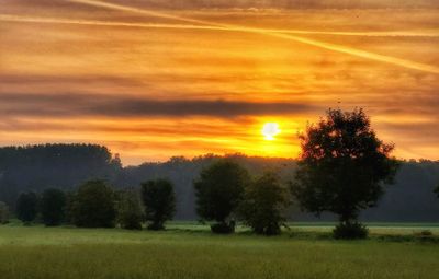 Scenic view of field against sky during sunset