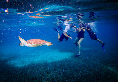 People scuba diving by turtle in sea