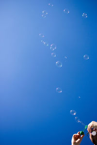 Low angle view of fish underwater