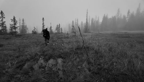 Traveler wandering in a high moor