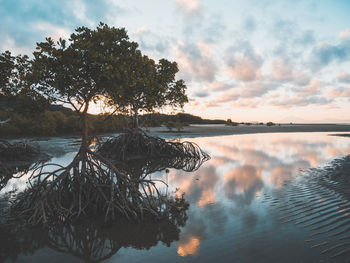 Scenic view of lake against sky at sunset