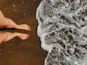 Cropped hand of person holding sand at beach