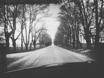 Road passing through forest