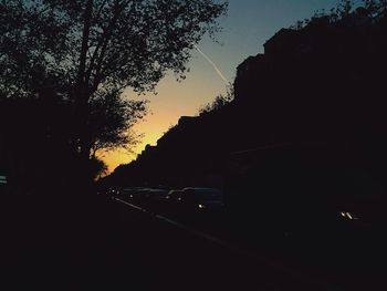 Silhouette of trees at night