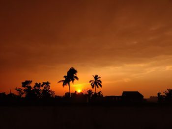 Silhouette palm trees against orange sky