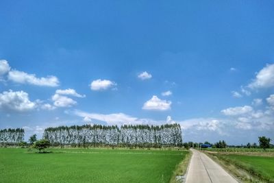 Road amidst field against sky