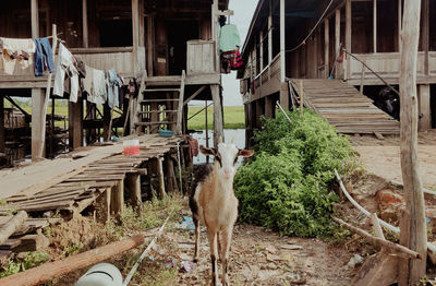 High angle view of man standing in factory