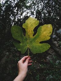 Close-up of hand holding autumn leaf