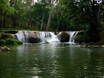 Scenic view of waterfall in forest