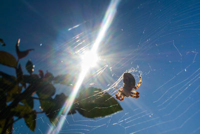 Low angle view of person against sky