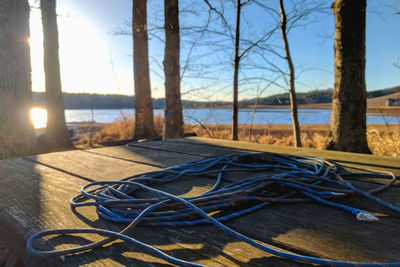 Close-up of cables and trees against sky