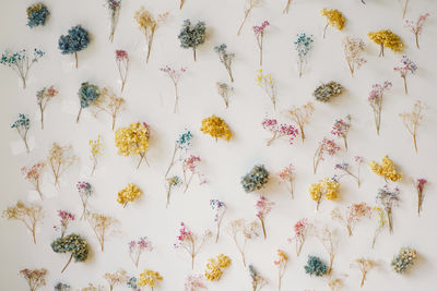 Close-up of christmas decorations on white background