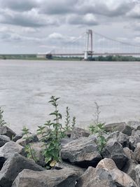 Bridge over river against cloudy sky