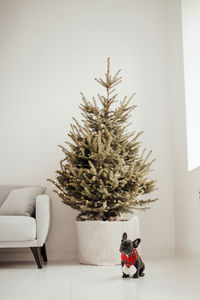 Christmas decorations on table