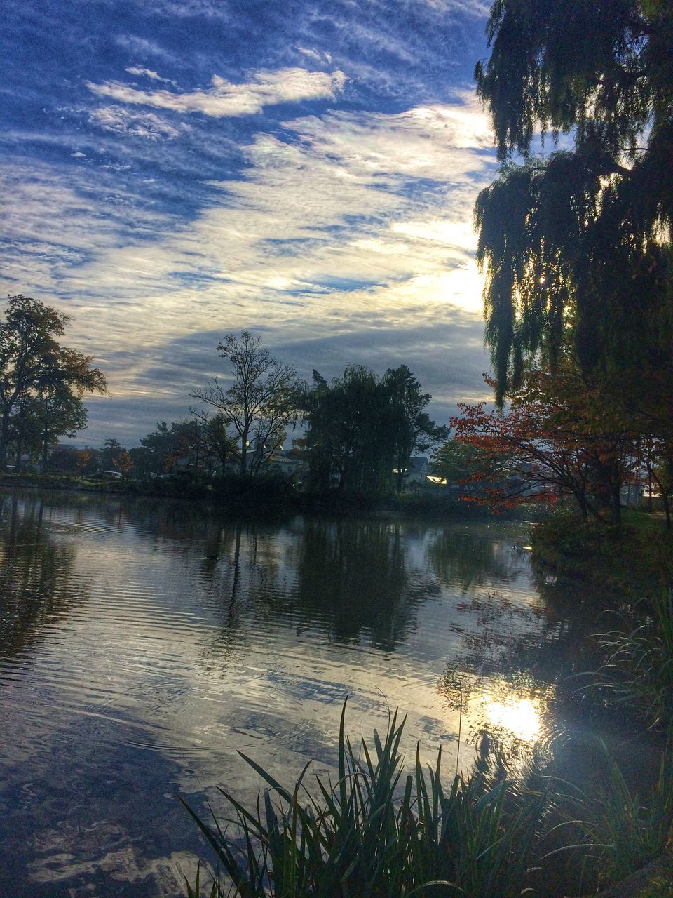 water, reflection, tree, sunset, scenics, tranquil scene, tranquility, lake, sky, cloud, cloud - sky, beauty in nature, sun, nature, majestic, atmospheric mood, remote, non-urban scene, dramatic sky, calm, no people, cloudscape, moody sky, lakeside