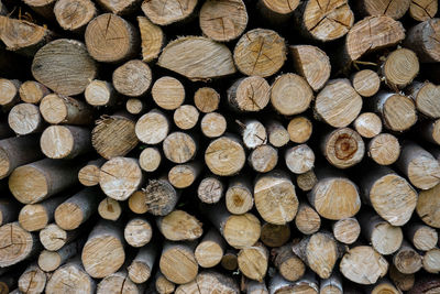 Full frame shot of logs