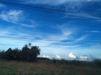 Trees on landscape against sky