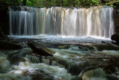 Scenic view of waterfall in forest