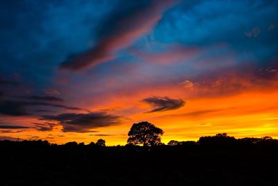 Silhouette trees against dramatic sky during sunset