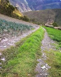 Scenic view of landscape