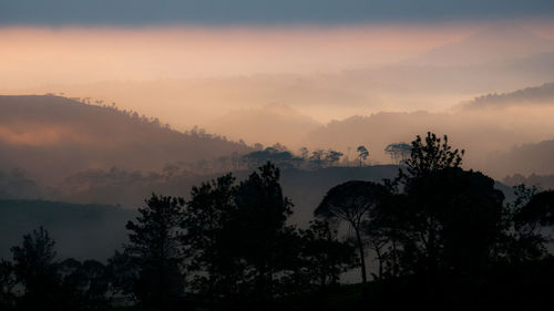 Silhouette trees and mountains against sky during sunset