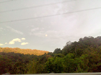 Trees on landscape against cloudy sky