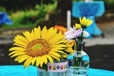 Close-up of yellow flower in pot