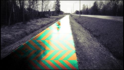 Road amidst bare trees