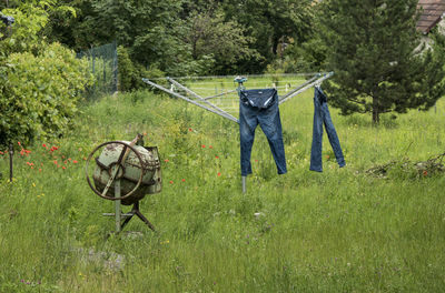 Jeans hanging from clothesline on grassy field at backyard