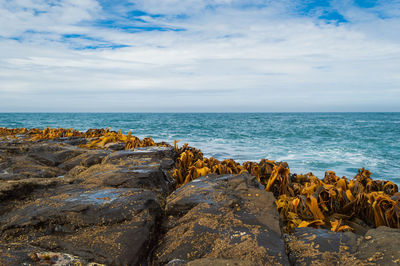 Scenic view of sea against cloudy sky