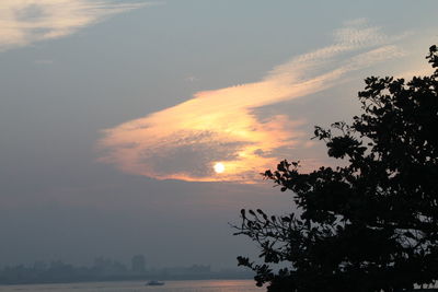 Silhouette tree by sea against sky during sunset