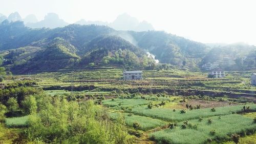 Scenic view of landscape