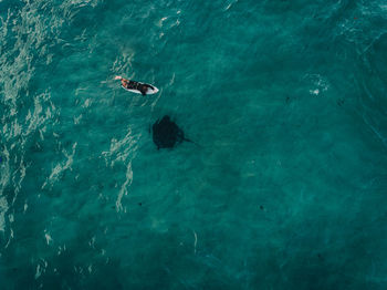 Aerial view of man lying on surfboard in sea