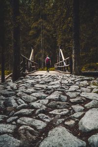 Rear view of man walking on footbridge amidst trees in forest