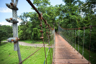 Boardwalk amidst trees on landscape