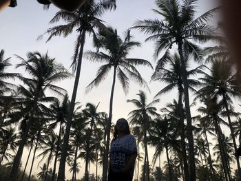 Rear view of woman standing by palm trees against sky