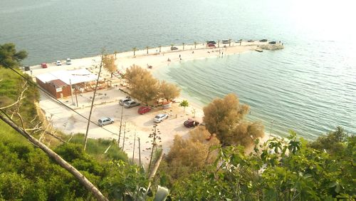 High angle view of plants by sea