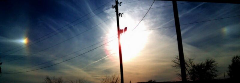 Low angle view of silhouette trees against sky