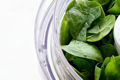 Close-up of leaf vegetables in container